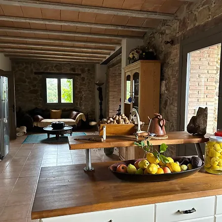 Merla Girona