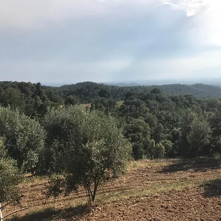 Merla Holiday home